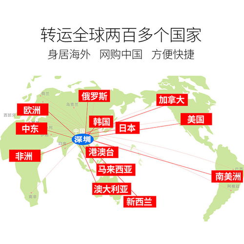 深圳貨運代理 全球貿易的橋梁與引擎